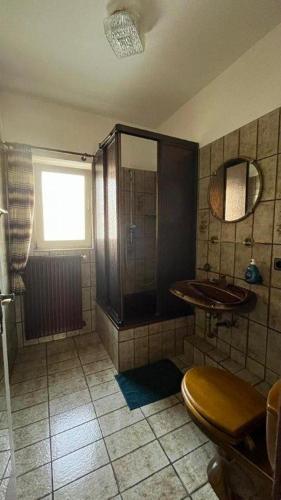 ein Bad mit einem Waschbecken, einer Dusche und einem WC in der Unterkunft Pension Highway Ferienwohnung Osnabrück in Osnabrück