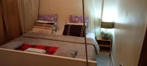 1 dormitorio con 1 cama grande y espejo en TRANGQUIL APARTMENTS, en Kitengela 
