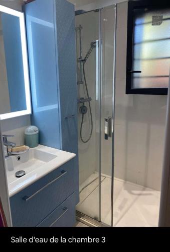 une salle de bain avec douche et lavabo dans l'établissement Biscarrosse Lac Maison au bord du canal pour 6 ou 7 personnes, à Biscarrosse