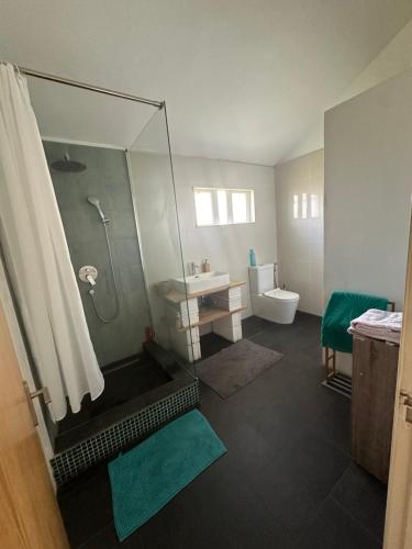 a bathroom with a shower and a sink and a toilet at Villa Terre d'Albion in Albion