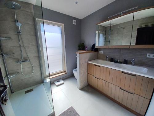 un bagno con doccia, lavandino e WC di B&B La source de notre Manon a Jauche