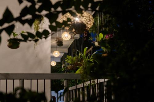 a bunch of lights hanging from a fence with plants at Daasa Guest Mirissa in Mirissa