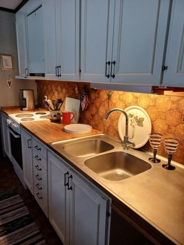 eine Küche mit einer Spüle und einer Arbeitsplatte in der Unterkunft Hus i lugn och naturskön miljö in Ockelbo
