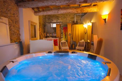 Le gîte et le cottage de Sainte Valière Piscine et SPAS