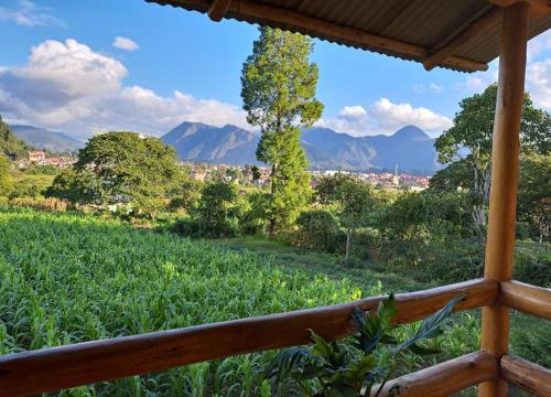Ein allgemeiner Bergblick oder ein Berglick von der Lodge aus