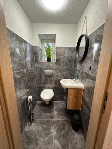 a bathroom with a sink and a toilet and a mirror at Ferienhaus AyNa in Bad Säckingen