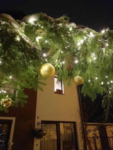 a house with christmas lights and a christmas tree at Wildes Paradies,135 qm Ferienwohnung im Naturgarten in Chemnitz