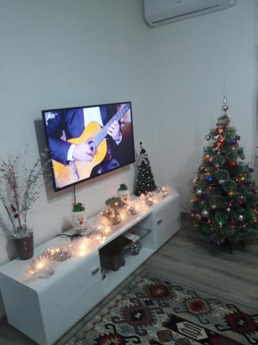 a living room with a television and a christmas tree at Apartman Drina in Berilovac