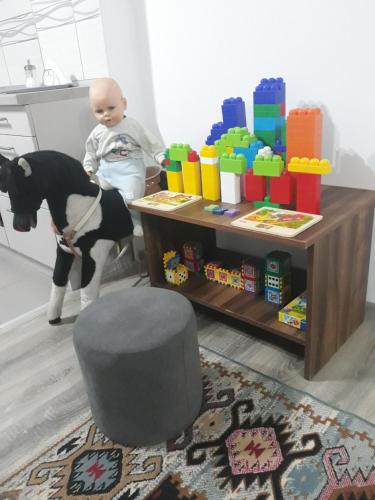 a baby sitting in a chair next to a table with a dog at Apartman Drina in Berilovac