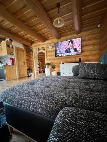 een slaapkamer met een bed en een flatscreen-tv bij Zrub Vlašky in Bešeňová