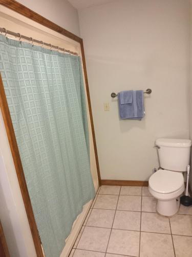 a bathroom with a toilet and a shower curtain at Oakhaven Annex in Long Beach