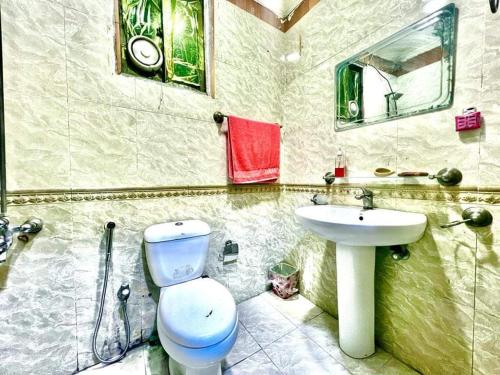 a bathroom with a toilet and a sink at Family Apartment No 2 ISB F-11 in Islamabad