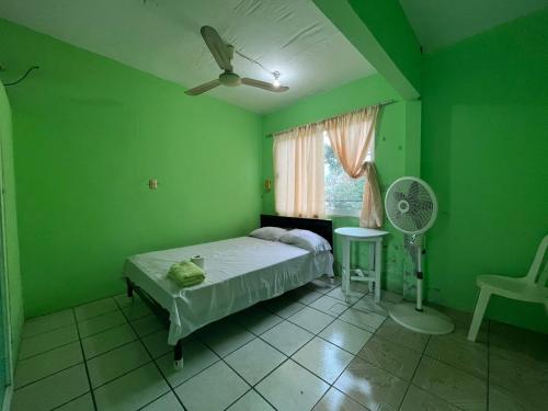 a green bedroom with a bed and a fan at Posada Isis in Catemaco