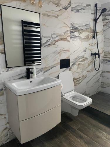 La salle de bains est pourvue d'un lavabo blanc et de toilettes. dans l'établissement OZONE, à Petroşani