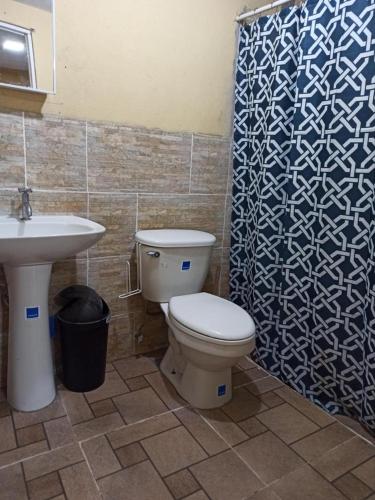 a bathroom with a toilet and a sink and a shower at Cabaña Don Chacon in Paso Ancho