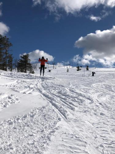 a person is cross country skiing in the snow at Villa Havu holiday home in Pyhä/Lapland in Pyhätunturi