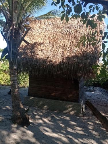 a hut with a thatched roof next to a palm tree at Cabana Sabiá in Camaçari