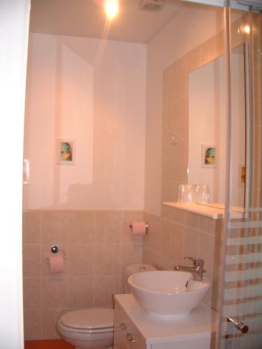 a bathroom with a toilet and a sink at Maison Neuve Grandval in Grandval
