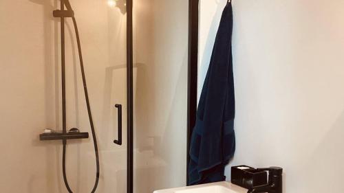 La salle de bains est pourvue d'une douche, de toilettes et d'un lavabo. dans l'établissement Batpart batman appartement 1 piéce, à Bruxelles