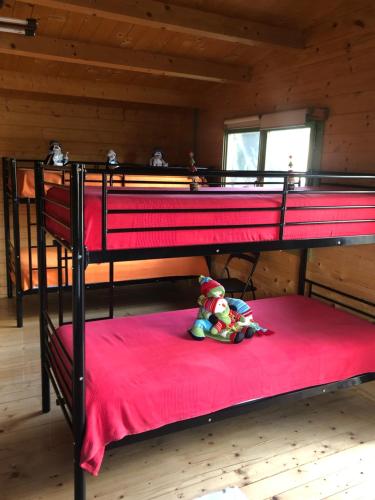 two bunk beds with a teddy bear sitting on a red blanket at Refugi MARILLUNA in Montblanquet