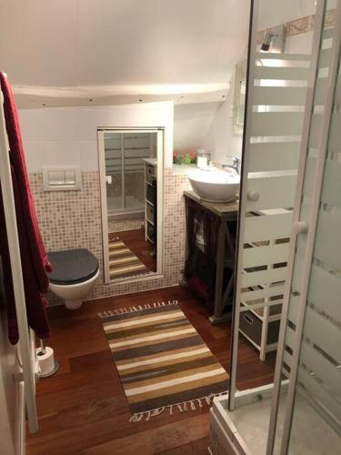 une salle de bain avec toilettes, lavabo et miroir dans l'établissement Le Vieux Moulin Chamant Senlis 60300, à Chamant