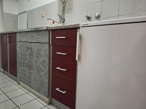 a kitchen with a refrigerator and a sink at RIVIJERA GREEN in Belgrade