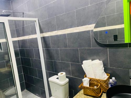 ein Bad mit einer Dusche, einem WC und einem Spiegel in der Unterkunft Cabañas LuMa in Guanteque