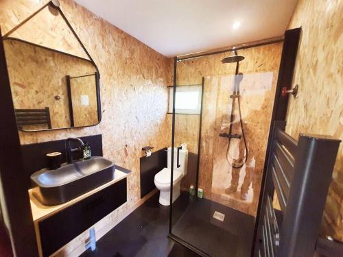 a bathroom with a sink and a shower and a toilet at Chalet les pieds dans l'eau la campagne à la ville in Saint-Doulchard