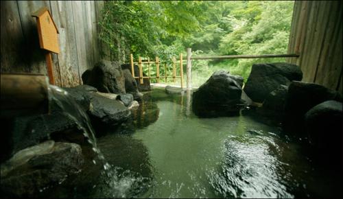旅館の近くで見られる自然の景観