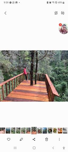 a person standing on a wooden bridge in the woods at Rancho Don Efrain 