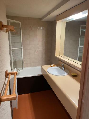 a bathroom with a sink and a bath tub at Studio Cabine Chamrousse in Chamrousse