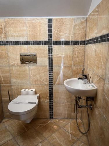 a bathroom with a toilet and a sink at Hotel Lony in Mochov