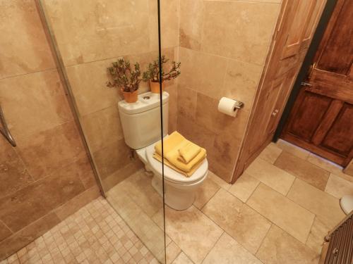 a bathroom with a toilet with a glass shower at The Old Sunday School in Richmond