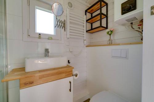 ゼーウォルデにあるGreen Tiny Safariの小さなバスルーム(洗面台、トイレ付)