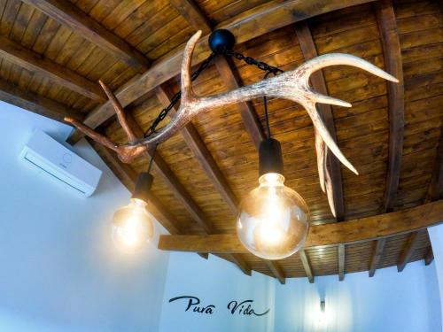 a pair of antlers and lights hanging from a ceiling at Pura Vida Matos House in Fafião