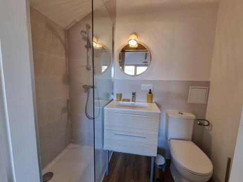 a bathroom with a toilet and a sink and a shower at Appartement 4 personnes Lac d'Annecy in Lathuile