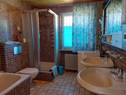 a bathroom with two sinks and a toilet and a shower at Ferienwohnung Grünwald in Grünwald