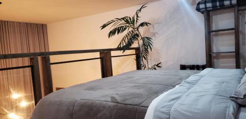 a bedroom with a bed and a plant on the wall at The Guest House hostel in Balneário Gaivotas