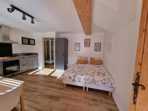 1 dormitorio con 1 cama y cocina en Studio 2 personnes - lumineux - Lac d'Annecy, en Lathuile