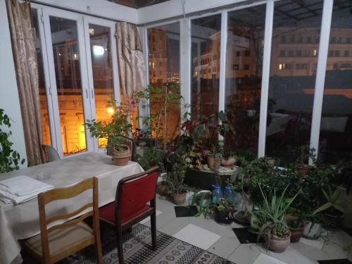 une pièce avec une table, des plantes en pot et une fenêtre dans l'établissement Valiko, à Tbilissi
