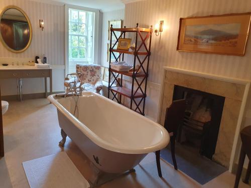 uma casa de banho com banheira em frente a uma lareira em Summergrove House em Mountmellick