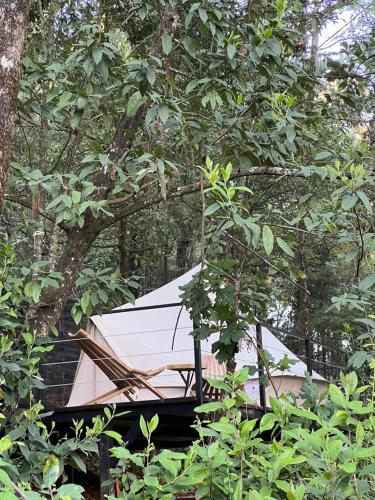 Landskap semula jadi dekat dengan hotel