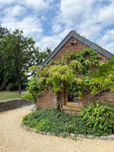Ein Garten an der Unterkunft Bayda's Tiny House