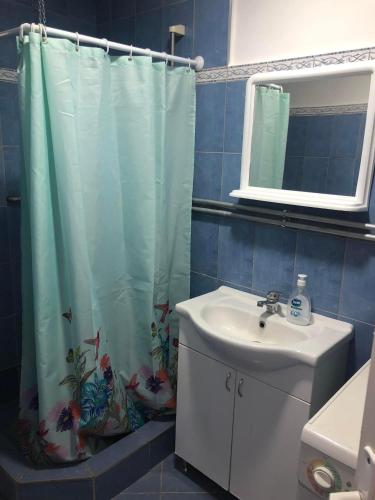baño con lavabo y cortina de ducha en Apartman Jankovic, en Vrbas