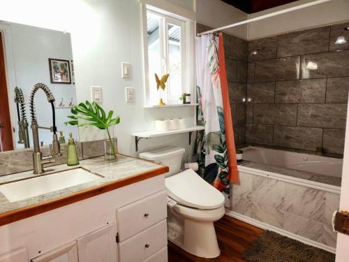 a bathroom with a toilet and a sink and a tub at Lava Lover's Getaway in Volcano