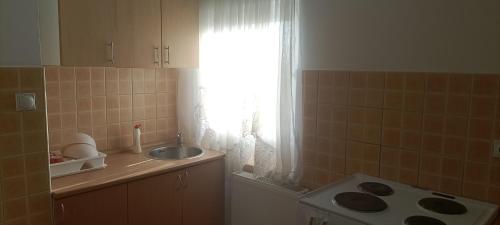 uma pequena cozinha com um lavatório e uma janela em Apartman Altina M em Zemun Polje