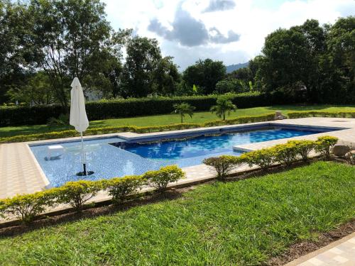 a swimming pool with an umbrella and grass at Casa Tótem inmersión inolvidable en la naturaleza in Apulo