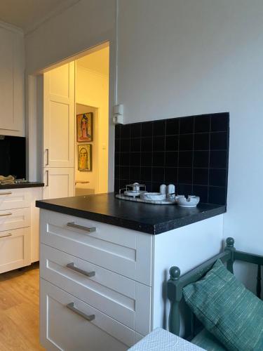 uma cozinha com um balcão com um lavatório em Lektorn em Nässjö