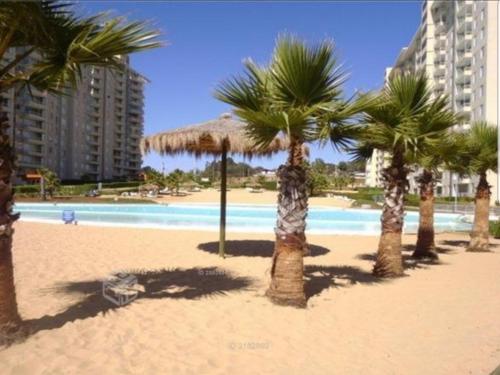 a group of palm trees on a beach with a pool at Espectacular Depto Laguna Vista Algarrobo (3D2B) in Algarrobo