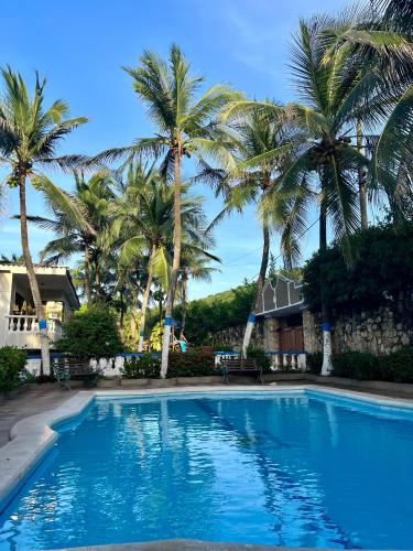哥倫比亞港的住宿－Cabaña tranquila: piscina, mar, privacidad，一座种植了棕榈树的蓝色游泳池